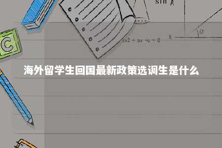 海外留学生回国最新政策选调生是什么