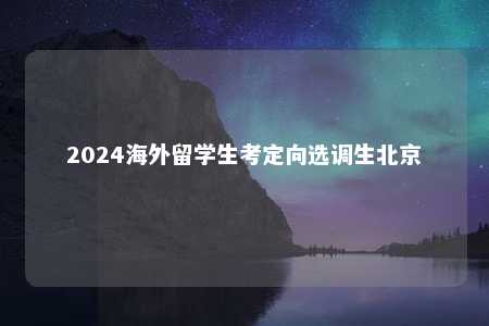 2024海外留学生考定向选调生北京